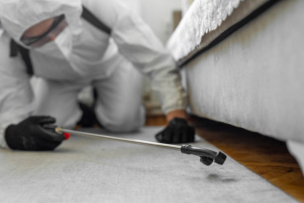 Professional Cockroach Control technician working in Wolf Lake, MI