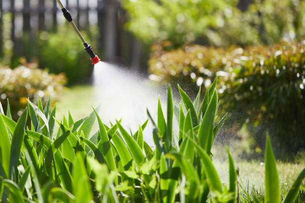 24/7 Emergency Cockroach Control experts in Wolf Lake, MI