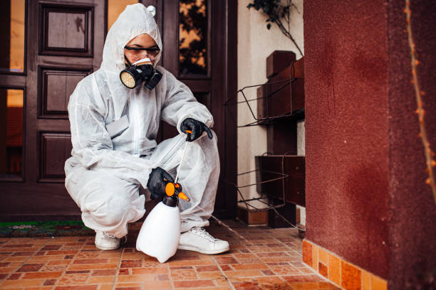 Reliable Cockroach Control contractor in Wolf Lake, MI by Nex Pest Control